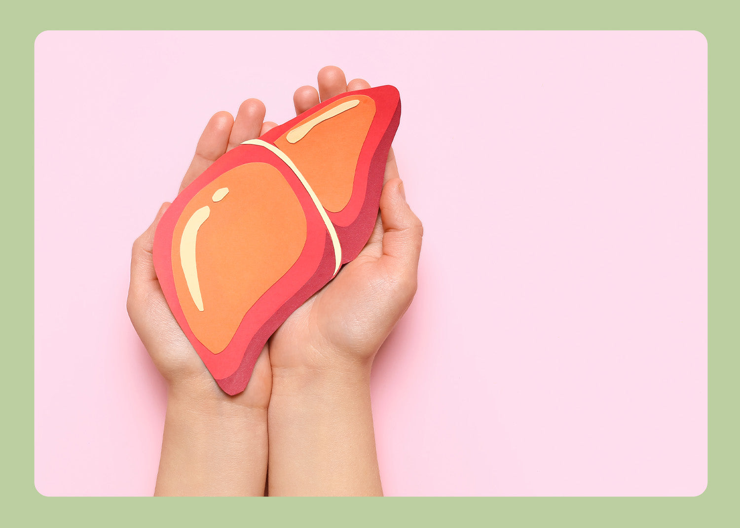 Wie gut geht es meiner Leber wirklich? – Leberwerte im Fokus