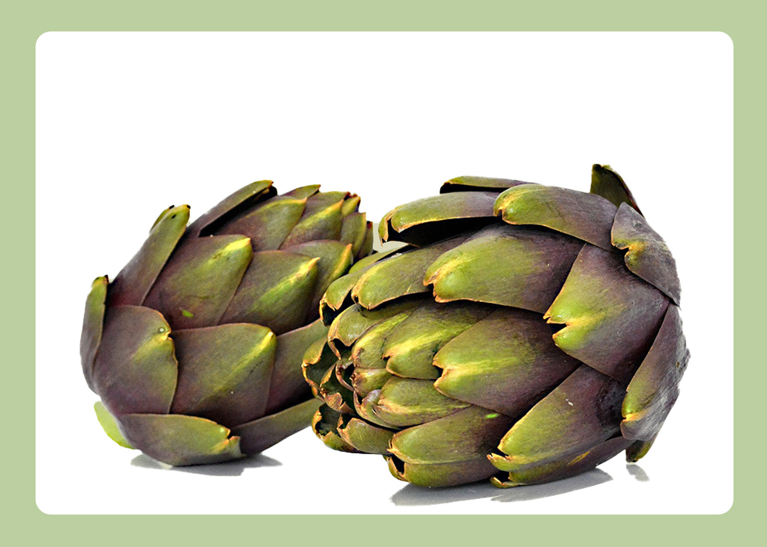 Die Artischocke – Vom mediterranen Gemüse zur Heilpflanze