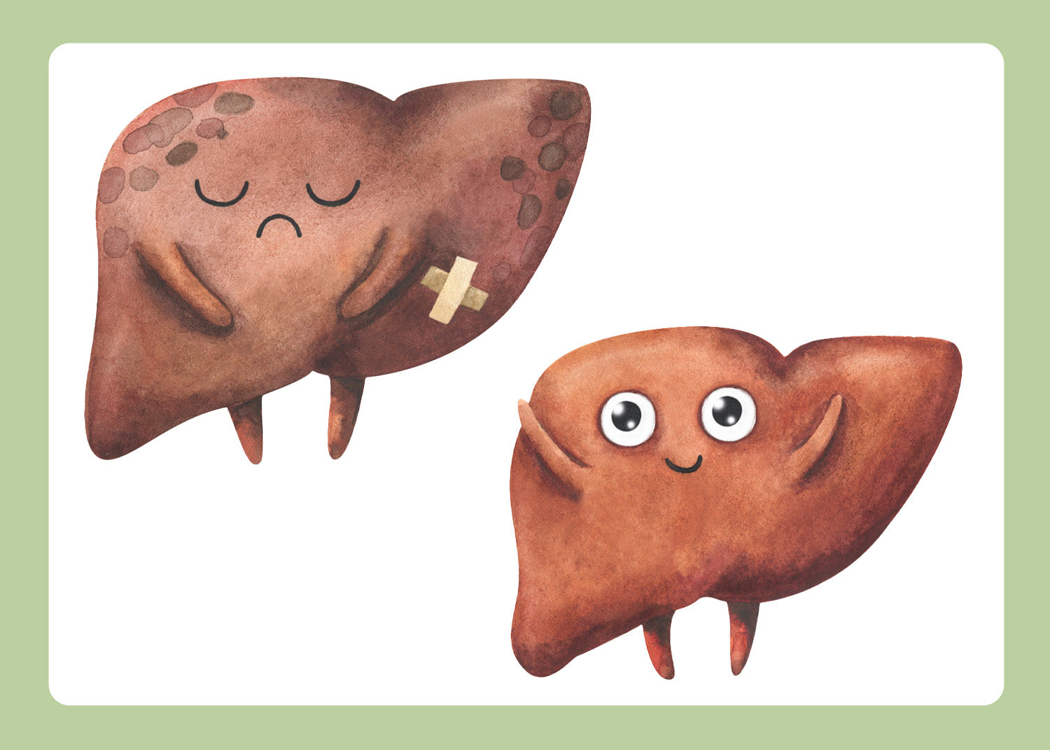 Zwischen Leber und Milz – Ist da Platz für ein Pils?