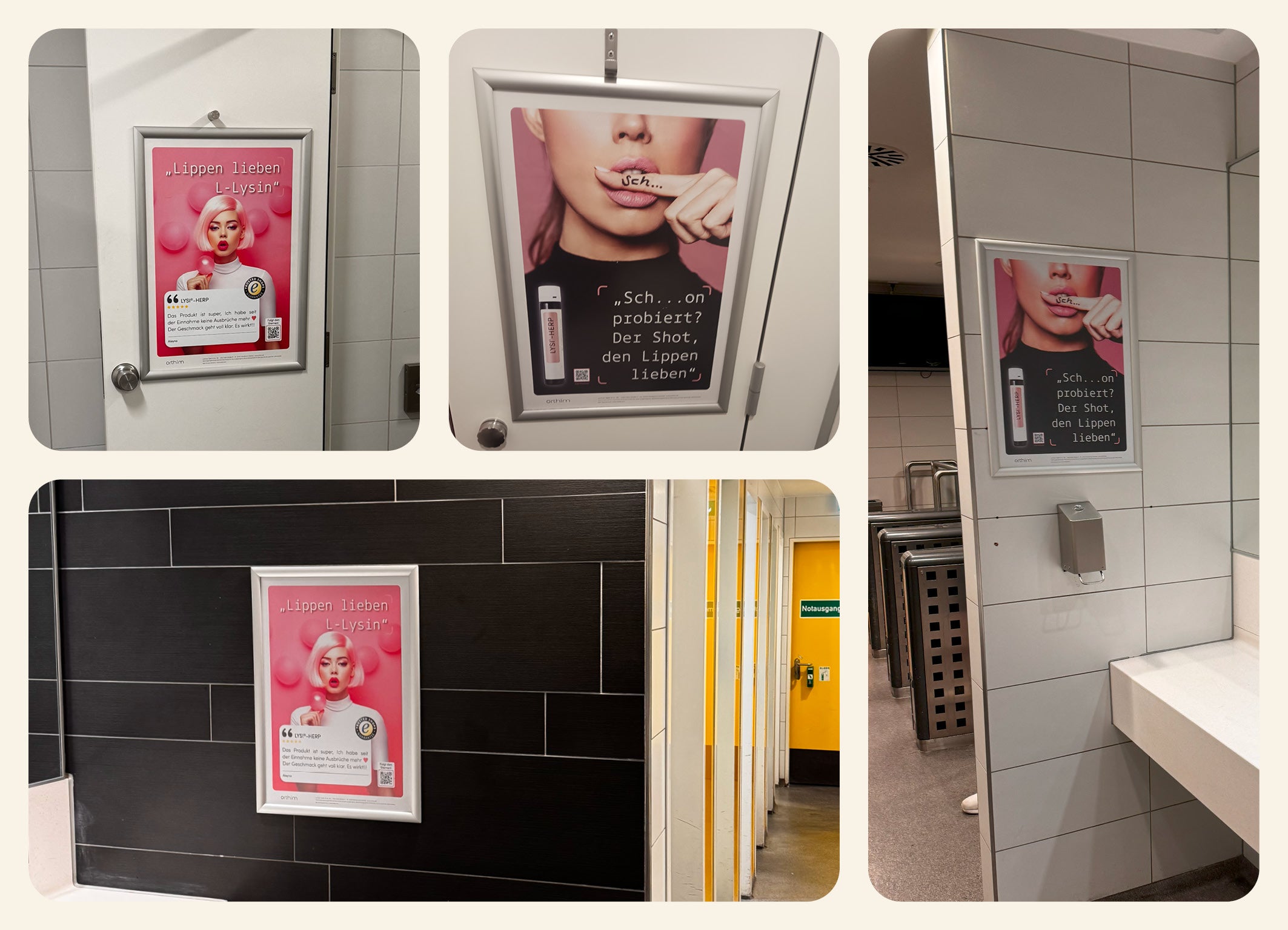 Na, wer hat sie schon entdeckt? - Unsere LYSI® HERP Kampagne an Sanifair Stationen in ganz Deutschland