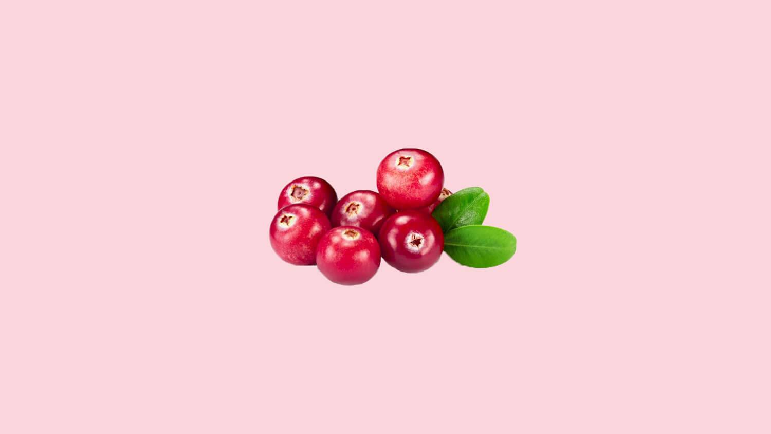 Cranberry