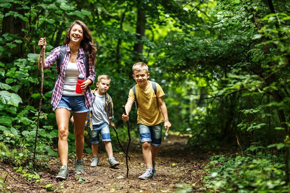 Junge Frau und zwei Jungs gehen durch den Wald wandern