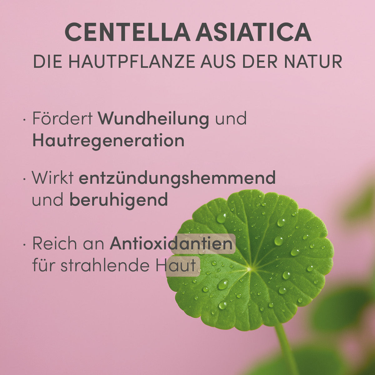 DECUBITAN®