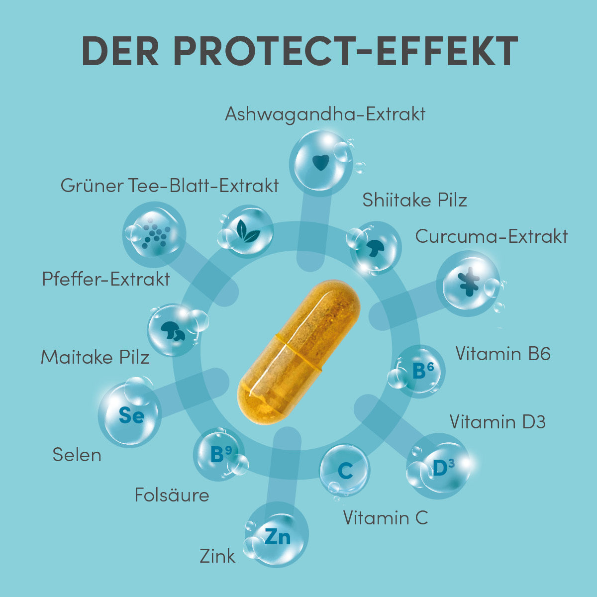 PROTECT-ORTHIM®