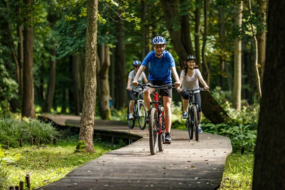 Gruppe junger Fahrradfahrer fahren im Wald auf einem Holzsteg
