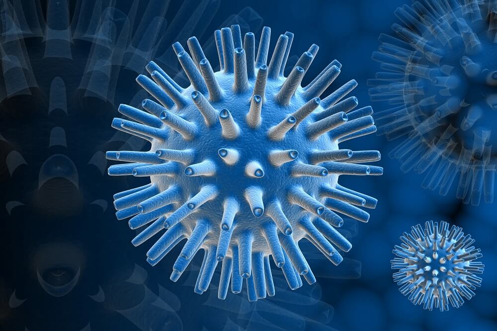 Grafik eines Herpes Virus