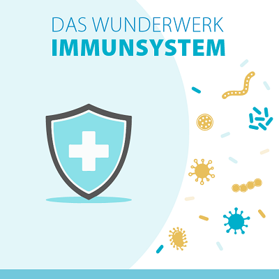 Titelseite Broschüre Wunderwerk Immunsystem